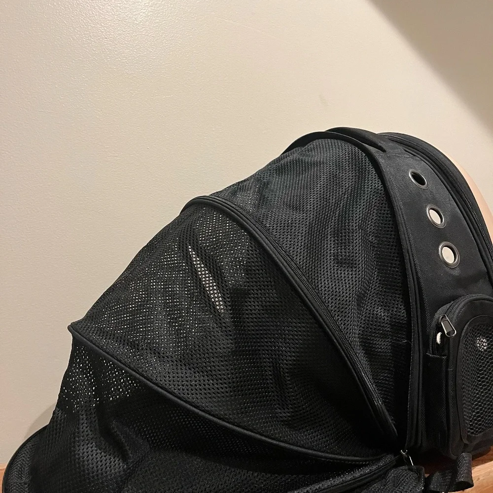 Travel Cat Backpack!